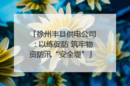 徐州丰县供电公司：以练促防 筑牢物资防汛“安全堤”