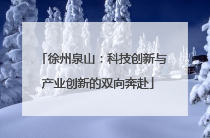 徐州泉山：科技创新与产业创新的双向奔赴