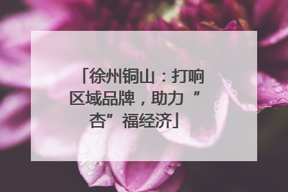 徐州铜山：打响区域品牌，助力“杏”福经济