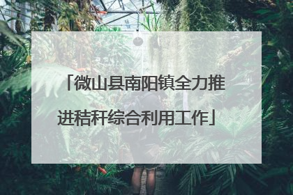 微山县南阳镇全力推进秸秆综合利用工作