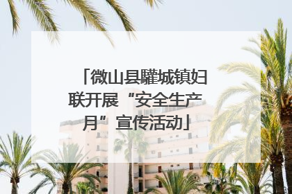 微山县驩城镇妇联开展“安全生产月”宣传活动