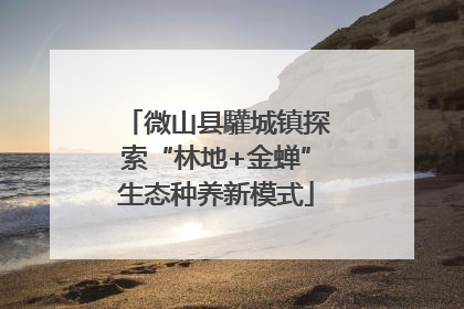 微山县驩城镇探索“林地+金蝉”生态种养新模式
