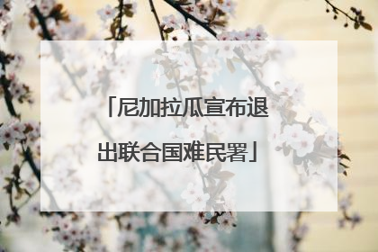 尼加拉瓜宣布退出联合国难民署