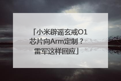 小米辟谣玄戒O1芯片向Arm定制？雷军这样回应