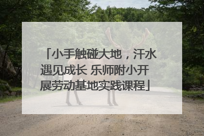 小手触碰大地，汗水遇见成长 乐师附小开展劳动基地实践课程