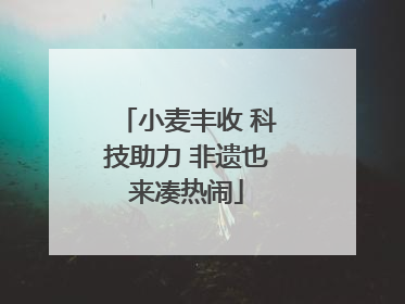小麦丰收 科技助力 非遗也来凑热闹