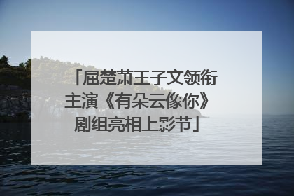 屈楚萧王子文领衔主演《有朵云像你》剧组亮相上影节