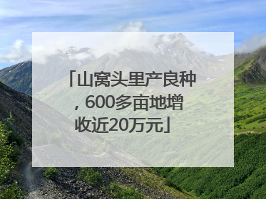 山窝头里产良种，600多亩地增收近20万元