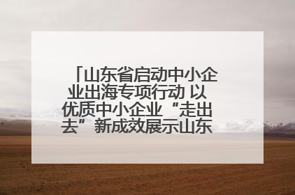 山东省启动中小企业出海专项行动 以优质中小企业“走出去”新成效展示山东产业发展新形象
