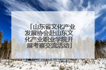 山东省文化产业发展协会赴山东文化产业职业学院开展考察交流活动