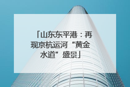 山东东平港：再现京杭运河“黄金水道”盛景