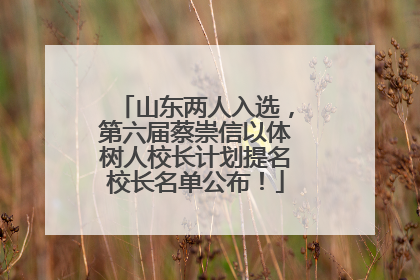 山东两人入选，第六届蔡崇信以体树人校长计划提名校长名单公布！