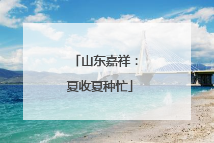 山东嘉祥：夏收夏种忙