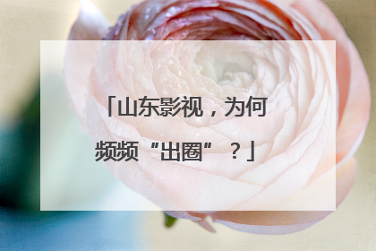 山东影视，为何频频“出圈”？