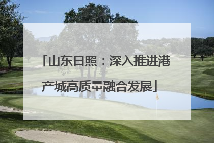 山东日照：深入推进港产城高质量融合发展