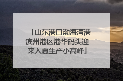 山东港口渤海湾港滨州港区港华码头迎来入夏生产小高峰