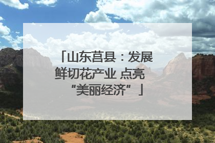 山东莒县：发展鲜切花产业 点亮“美丽经济”