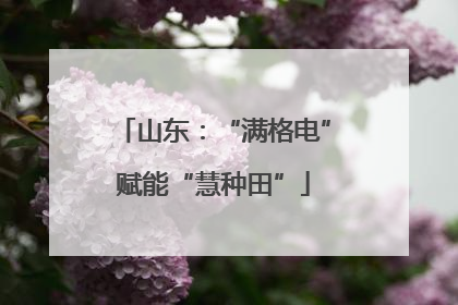 山东：“满格电”赋能“慧种田”