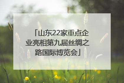 山东22家重点企业亮相第九届丝绸之路国际博览会