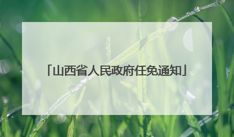 山西省人民政府任免通知
