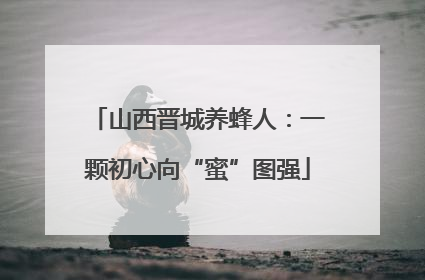 山西晋城养蜂人：一颗初心向“蜜”图强