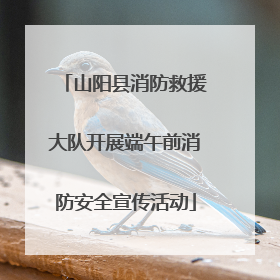 山阳县消防救援大队开展端午前消防安全宣传活动