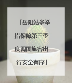 岳阳站多举措保障第三季度调图旅客出行安全有序