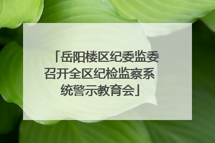 岳阳楼区纪委监委召开全区纪检监察系统警示教育会
