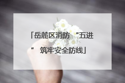 岳麓区消防 “五进” 筑牢安全防线