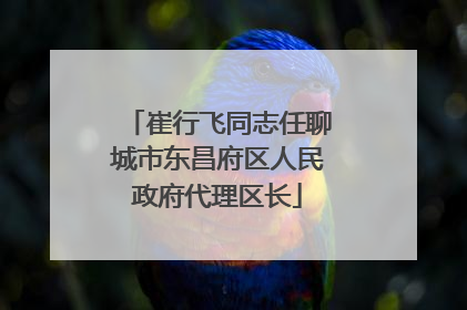 崔行飞同志任聊城市东昌府区人民政府代理区长