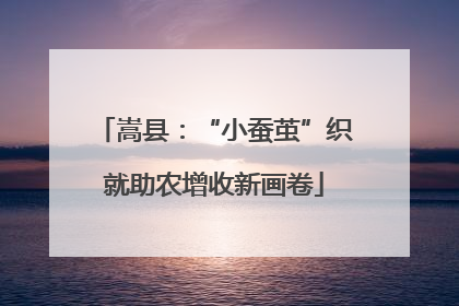 嵩县：“小蚕茧”织就助农增收新画卷