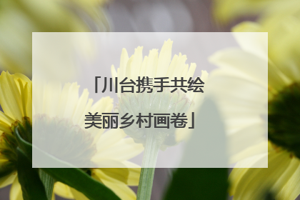 川台携手共绘美丽乡村画卷