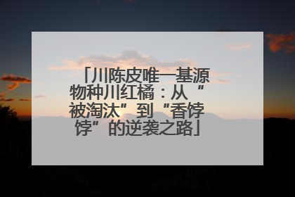 川陈皮唯一基源物种川红橘：从“被淘汰”到“香饽饽”的逆袭之路
