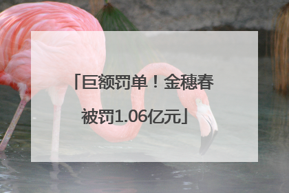 巨额罚单！金穗春被罚1.06亿元