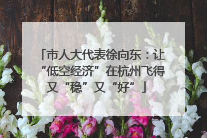 市人大代表徐向东：让“低空经济”在杭州飞得又“稳”又“好”