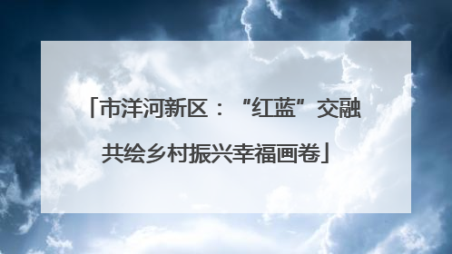 市洋河新区：“红蓝”交融 共绘乡村振兴幸福画卷