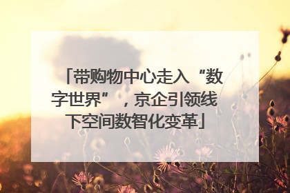 带购物中心走入“数字世界”，京企引领线下空间数智化变革