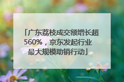 广东荔枝成交额增长超560%，京东发起行业最大规模助销行动