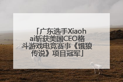 广东选手Xiaohai斩获美国CEO格斗游戏电竞赛事《饿狼传说》项目冠军