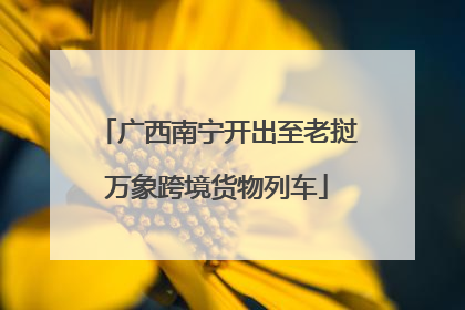 广西南宁开出至老挝万象跨境货物列车