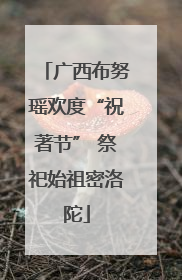 广西布努瑶欢度“祝著节” 祭祀始祖密洛陀