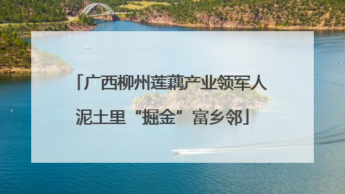 广西柳州莲藕产业领军人泥土里“掘金”富乡邻