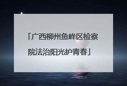 广西柳州鱼峰区检察院法治阳光护青春