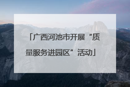 广西河池市开展“质量服务进园区”活动