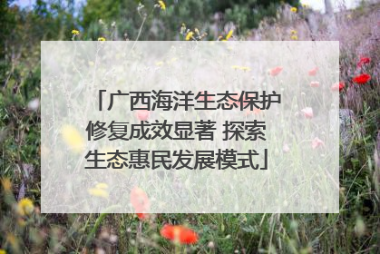 广西海洋生态保护修复成效显著 探索生态惠民发展模式
