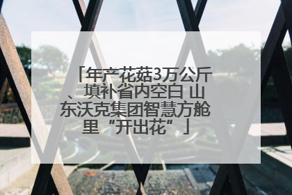 年产花菇3万公斤、填补省内空白 山东沃克集团智慧方舱里“开出花”