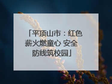 平顶山市：红色薪火燃童心 安全防线筑校园