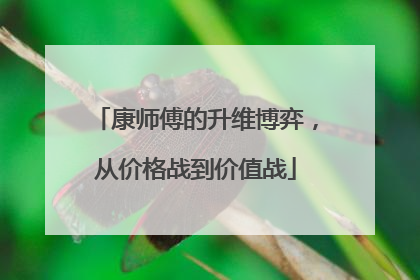 康师傅的升维博弈，从价格战到价值战