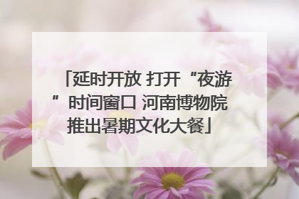 延时开放 打开“夜游”时间窗口 河南博物院推出暑期文化大餐