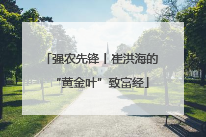 强农先锋丨崔洪海的“黄金叶”致富经